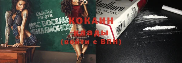 стафф Алзамай