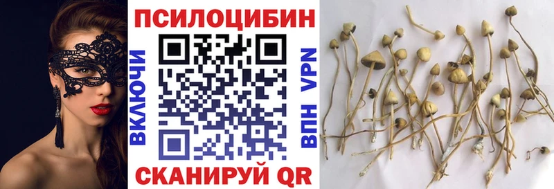 omg ссылки  Безенчук  Псилоцибиновые грибы Cubensis 